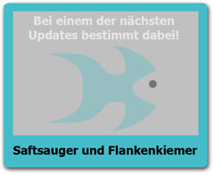 Saftsauger Saftsauger