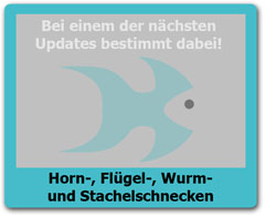 Stachelschnecken Stachelschnecken